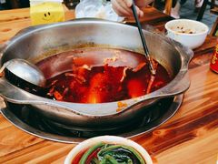 -金鼎雪山牦牛杂火锅(理县总店)