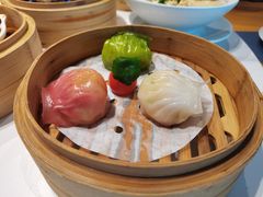 -点都德·毕德寮