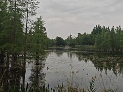 -白鹭湾湿地公园