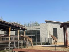 -石家庄市动物园