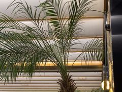 -陈熹公民族美食文化餐厅(中华广场店)