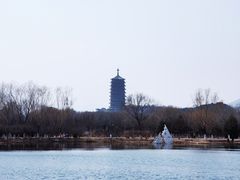 -永定河休闲森林公园