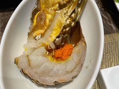 小青龙-舒友海鲜姿造(白鹭洲店)