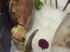 -阳光码头海鲜火锅(世纪大道店)