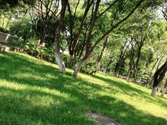 -莲湖公园
