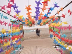 -青海湖国家重点风景名胜区