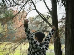 -南宁良凤江国家森林公园