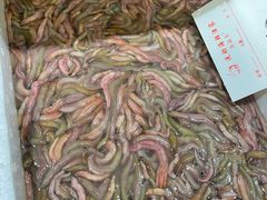 -流舫海鲜酒家(张溪店)