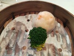 -新雅粤菜馆(南京东路店)