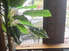 -元品牛排·休闲厨坊(晋江实小店)