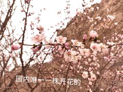 -悬空寺