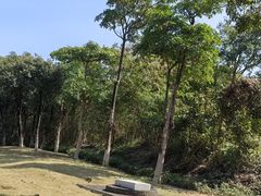 -芒洲湿地公园