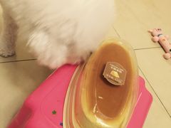 -多乐之日(和平伊势丹店)