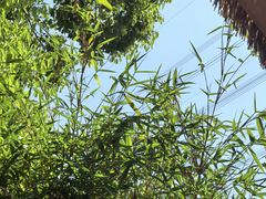 -伴山茶苑·围炉煮茶