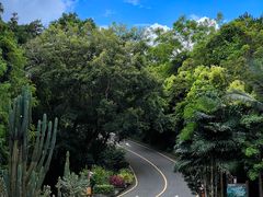 -深圳仙湖植物园