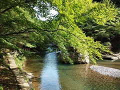 -秦岭风景区