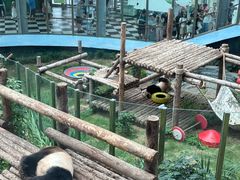 -大连森林动物园