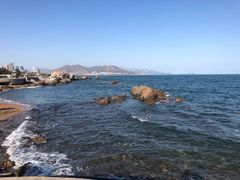 -海合安青岛极地海洋公园