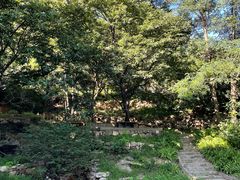 -云峰山自然风景区