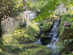 -Chom Cafe and Restaurant