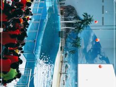 -福州罗源湾海洋世界旅游区