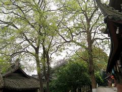 -中国观音故里广德景区
