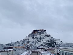 -平措康桑·和牛自助观景餐厅(布达拉宫店)