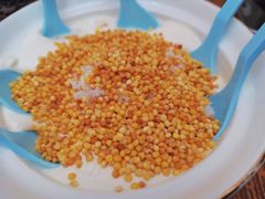 奶嚼口-蜗牛小馆醉乡民谣云南菜(惠新西里店)