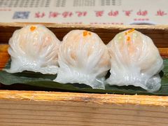 -粤点越有·茶点·粤菜(樵岭国际店)