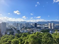 -金鸡山公园
