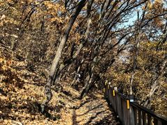 -帽儿山国家森林公园