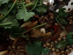 -院8里·少城记忆老川菜(宽窄巷子店)