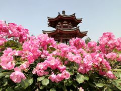 -大慈恩寺(大雁塔)