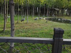 -艾溪湖湿地公园