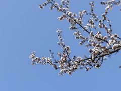 -长广溪湿地公园