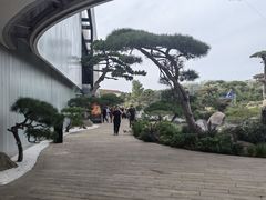 -罗红摄影艺术馆