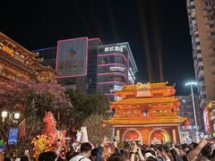 -越秀西湖花市(广州城市广场花卉店)