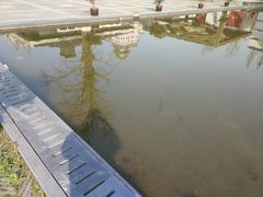 -南通博物苑-崇川人民公园