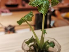 -橼舍鮨青木