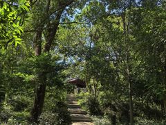 -上海佘山国家森林公园天马山园