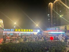 -盐禾堂海南屯昌香草鸭(总店)
