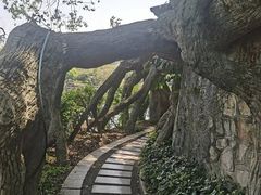 -桂林两江四湖景区