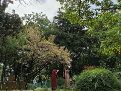 -成都市活水公园