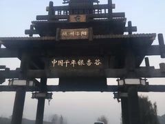 -千年银杏谷文化旅游区