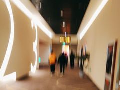 -嘉华国际影城(学清路店)