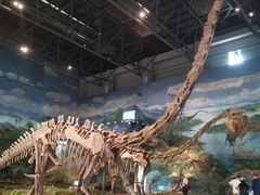 -自贡恐龙博物馆