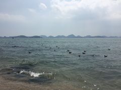-海驴岛(荣成市)
