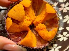 空运活海胆-天狗山料理(省体店)