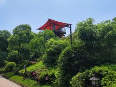 -杭州开元森泊度假乐园
