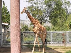 -石家庄市动物园